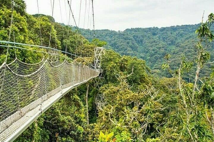 Top Rated Places to Visit While in Rwanda