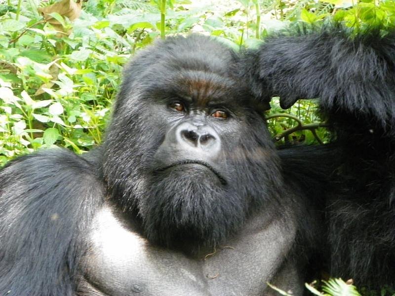 Top Rated Places to Visit While in Rwanda