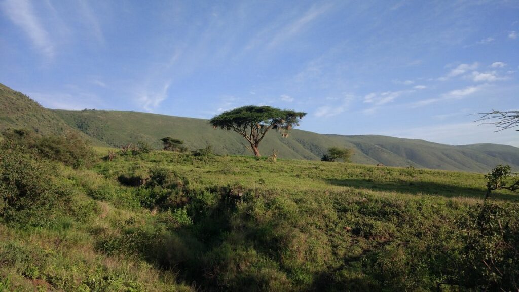 Tanzania's Northern Safari Circuit Parks & Reserves