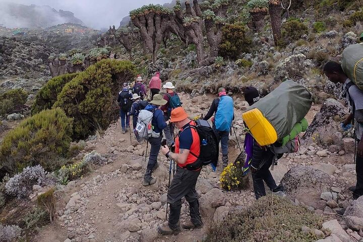 The Beginner's Guide to Climbing Kilimanjaro