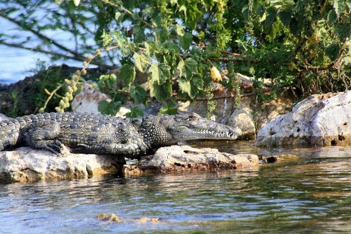 Tanzania’s Western Safari Circuit Parks & Reserves