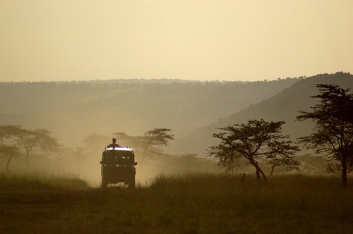 Masai Mara National Reserve: Out of Africa
