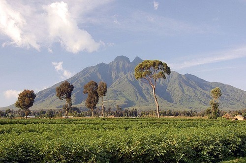 A Guide to Visiting the Gorillas Mountains
