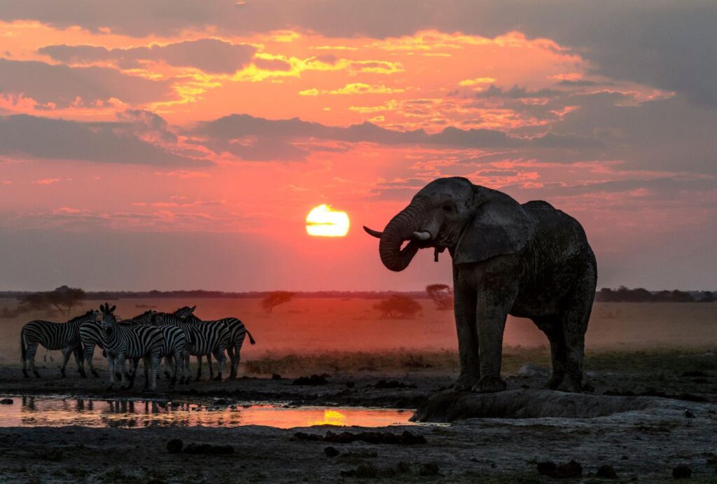 10 Things You Can Do in Africa on Your Visit