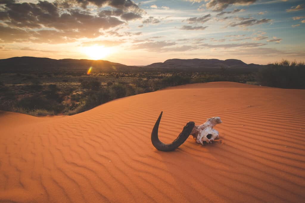 Travel to Botswana. Botswana Travel Guide and Recommendations