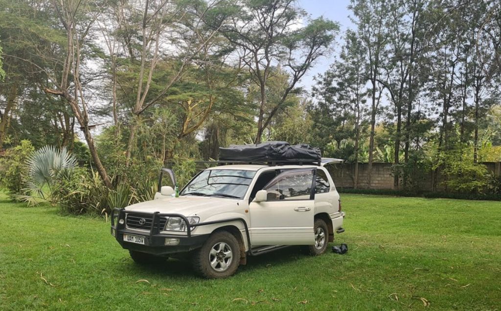 WILDLIFE SAFARI FAQ