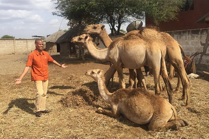 Tanzania Camel Safaris