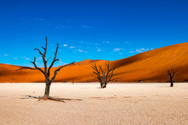 Travel to Namibia. Namibia Travel Guide and Recommendations