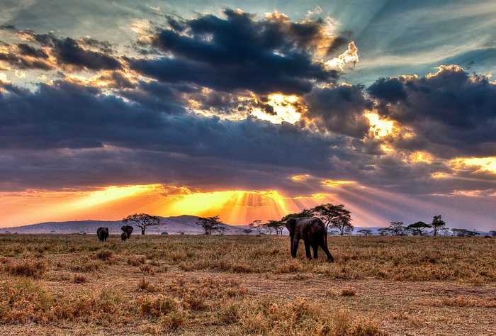 Travel to Tanzania During Christmas Holidays