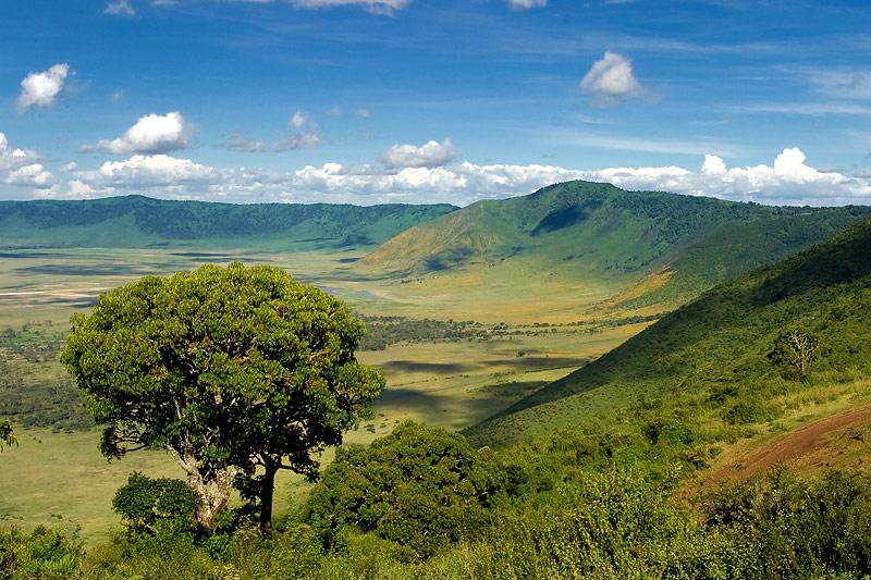 21 Days Ultimate Tanzania Safari