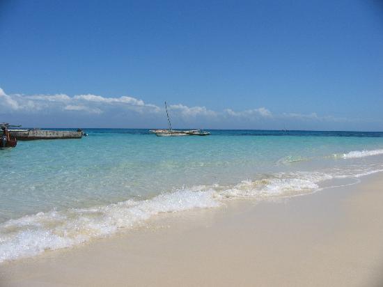 Tanzania Kiwengwa Beach in Zanzibar Island