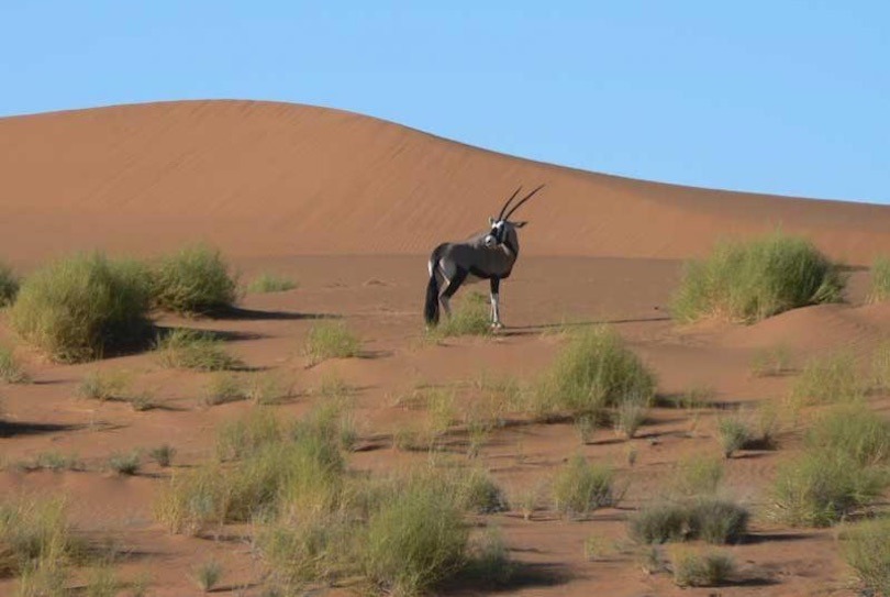 Travel to Namibia. Namibia Travel Guide and Recommendations