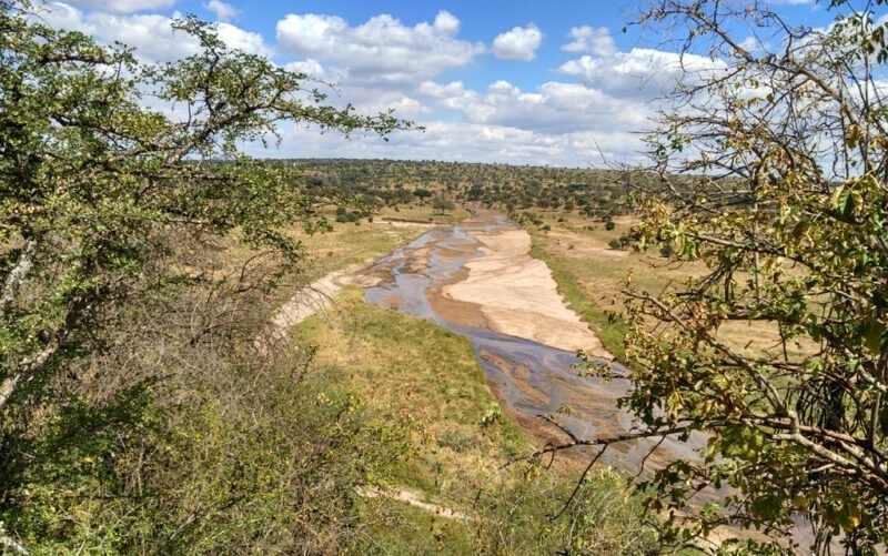 What is Special About Tarangire National Park?