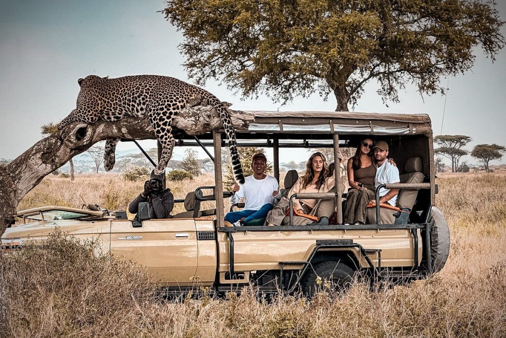 What Everyone Should Know About Safaris In Africa - Introduction