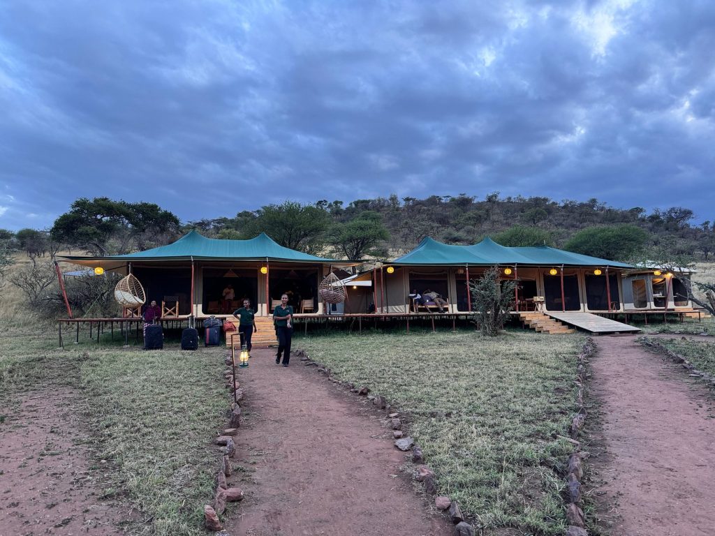 What Everyone Should Know About Safaris In Africa - Introduction