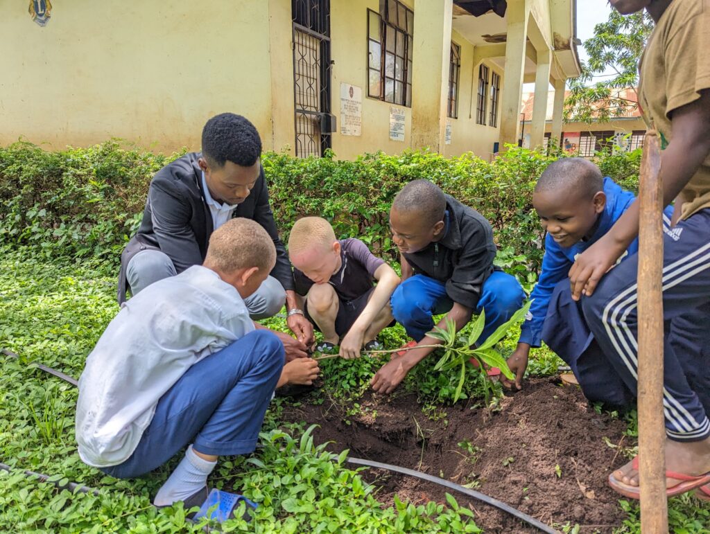 Tanzania 2 Days Kilimanjaro Hiking and Tree Planting Tour