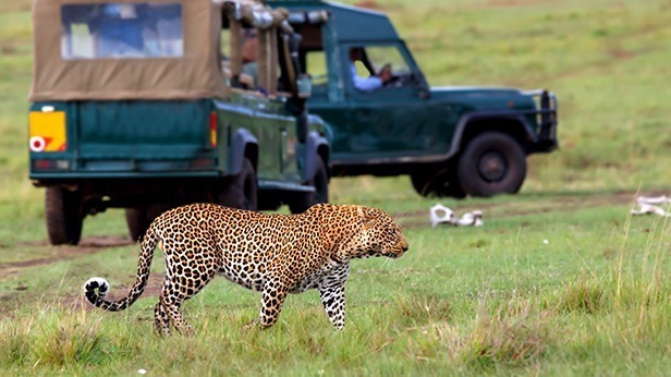What is unique with Maasai Mara National Reserve?