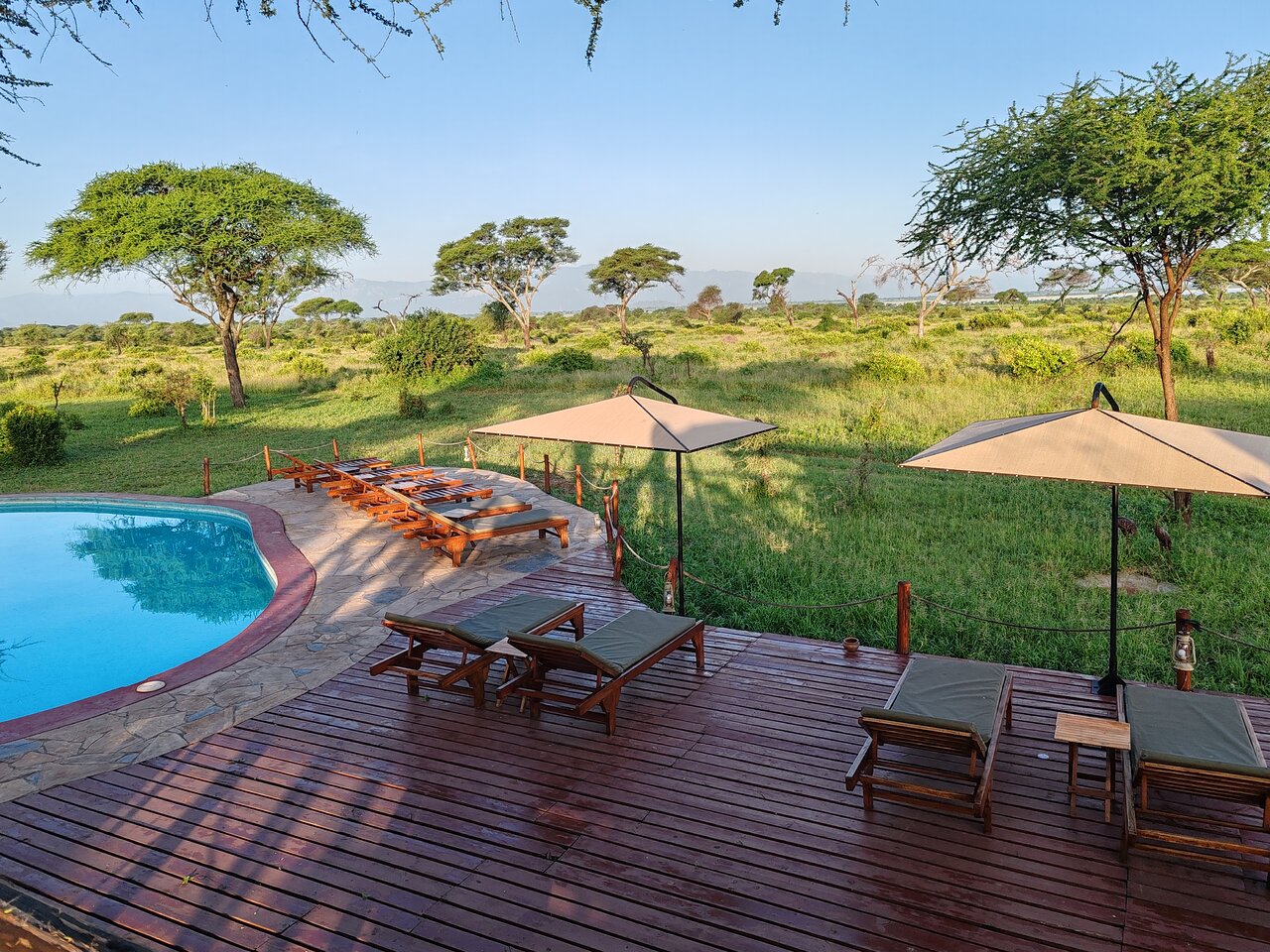 What is Special About Tarangire National Park?