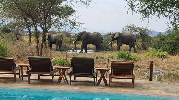 Tanzania 7 Days Responsible Culture Tour