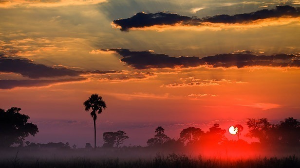 A Typical Day on Safari in East Africa