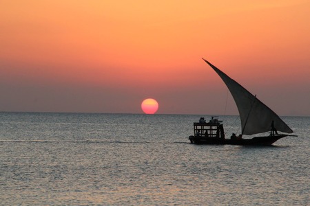 10 Days Safari with Serengeti, Ngorongoro and Pemba