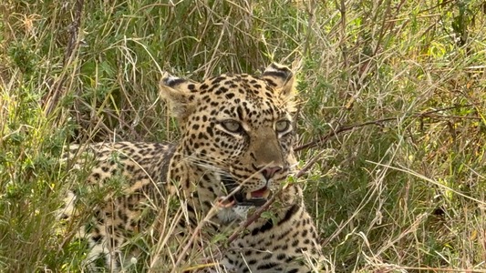 4 Days Safari With Manyara Arusha National Park and Ngorongoro