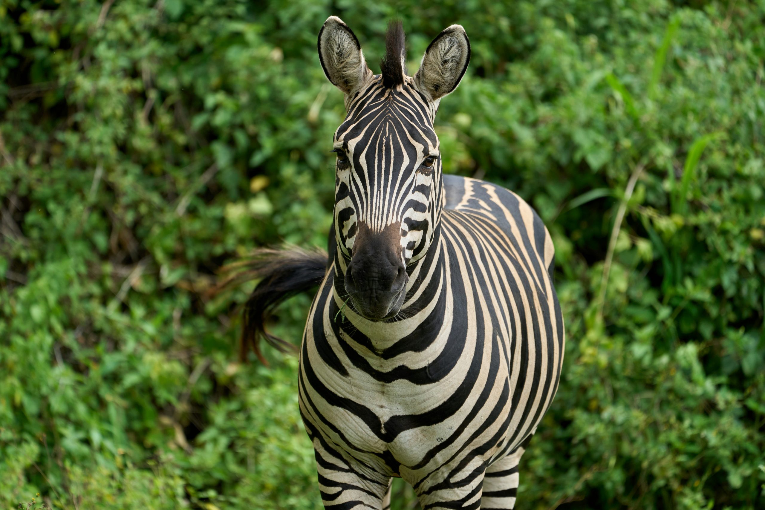 The Top 5 Holiday Experiences in Tanzania