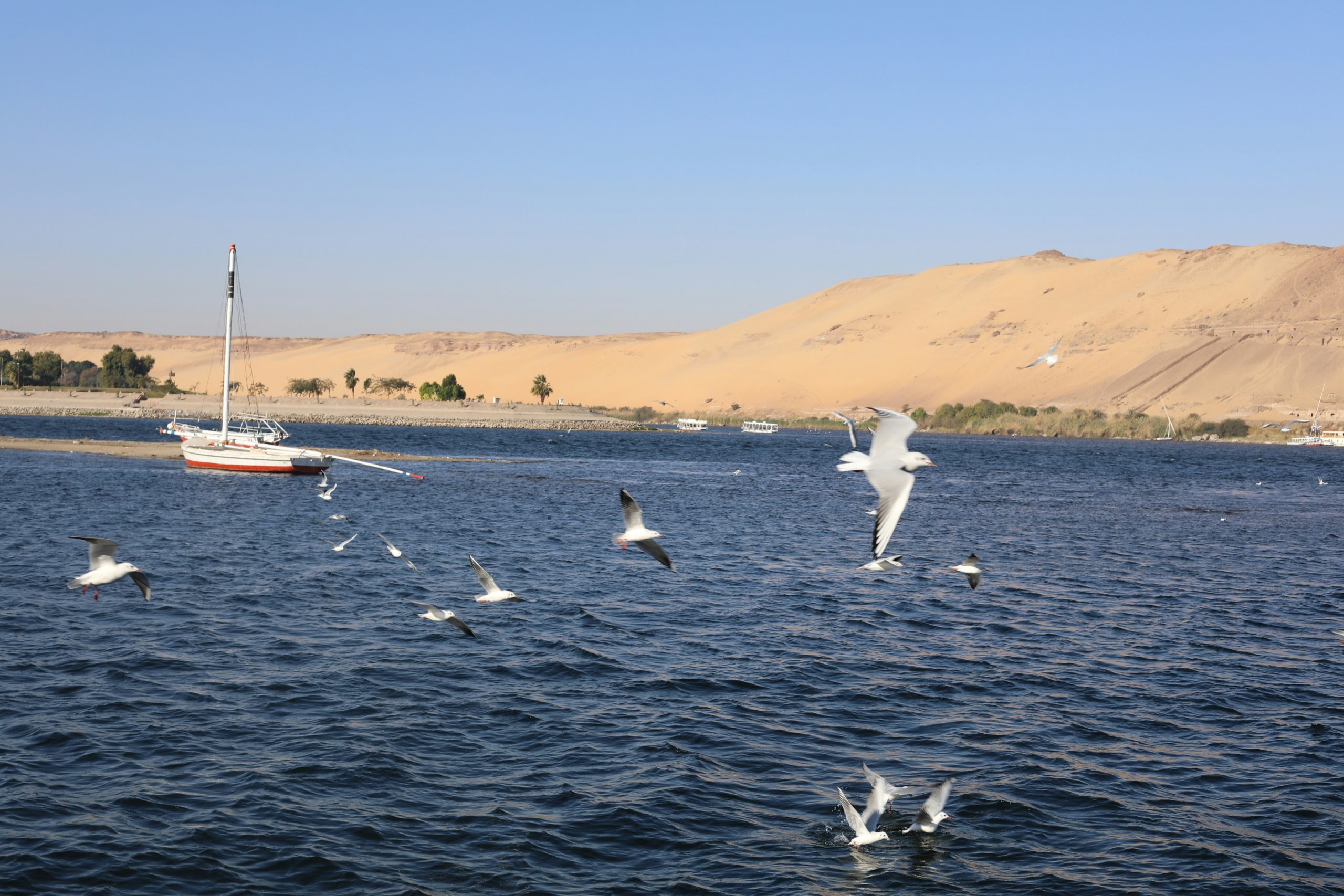 10 Days Safari with Gorilla Tracking and Nile