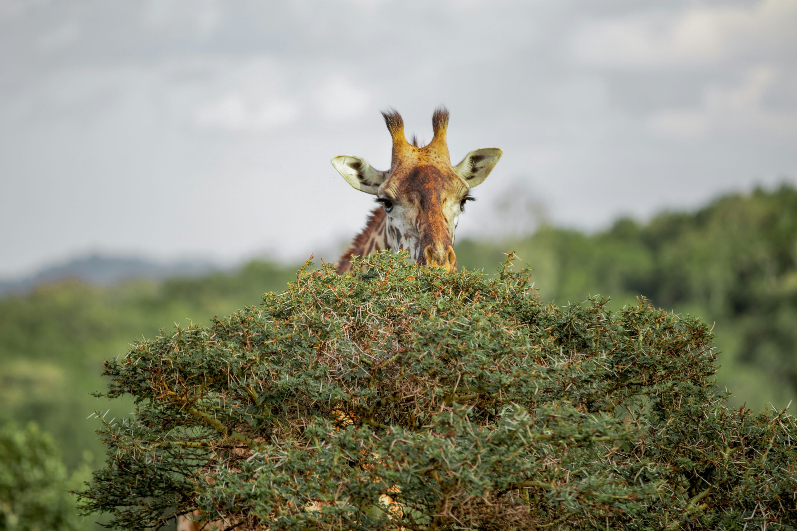 Best Tourist Attractions and Places To Visit in Tanzania