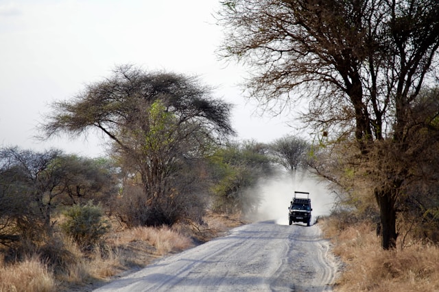 1 Day Safari With Tarangire National Park