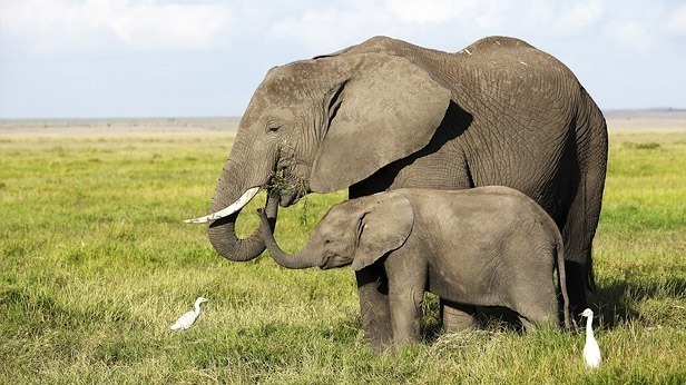 5 Places You Must Visit in Kenya