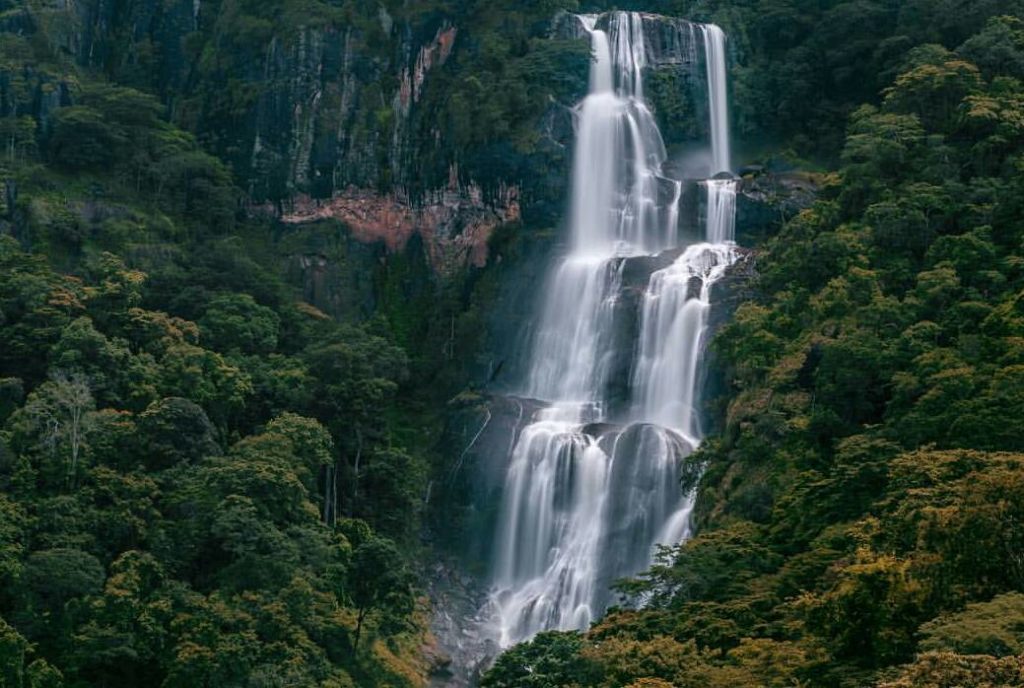 Tanzania's Safari Treasures: Must-Visit National Parks"