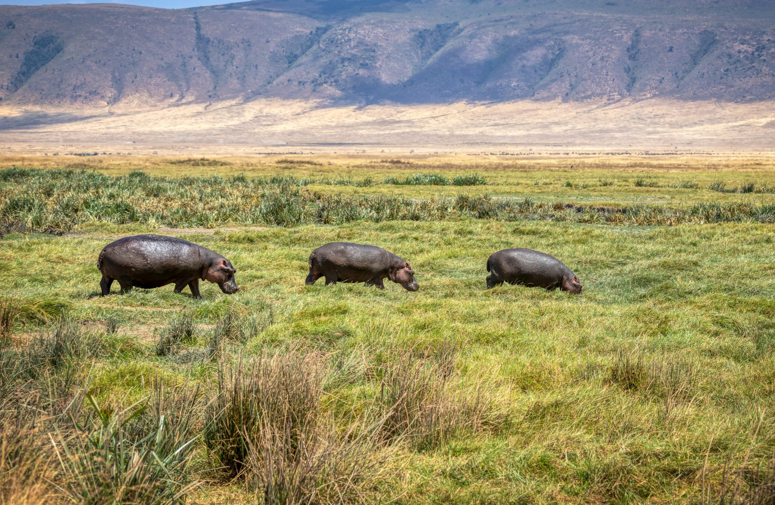 13-days-safari-with-unique-beach-experiences