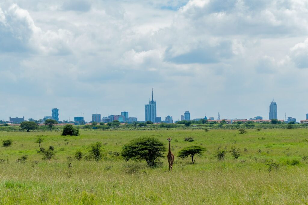 A Beautiful National Park 7km from a City
