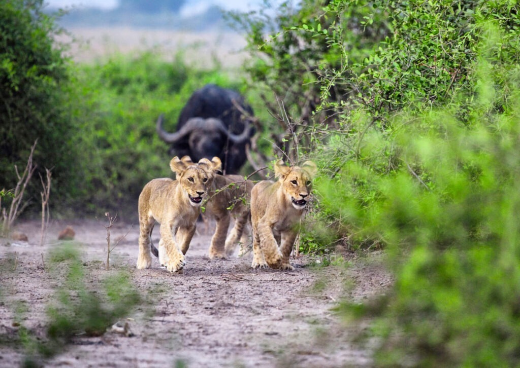 Top 5 Places to Visit in Botswana