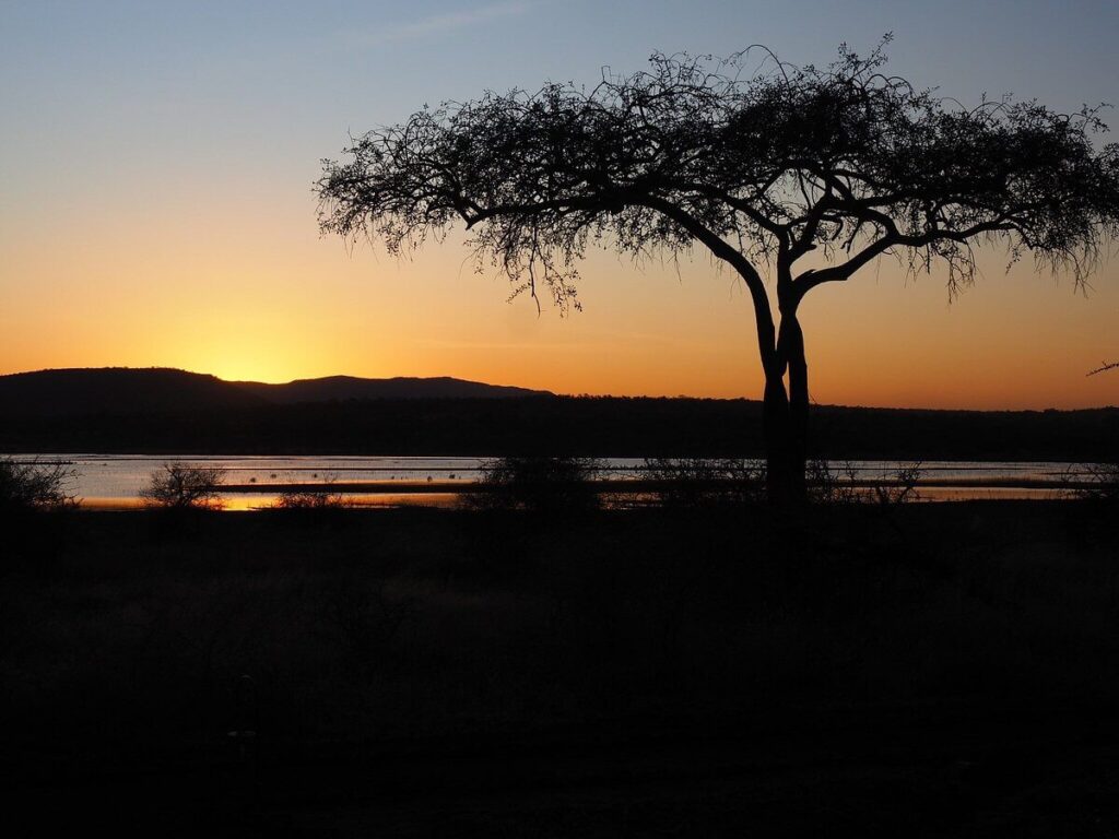 What are the 6 Major Tourist Activities During Your Tanzania Trip?