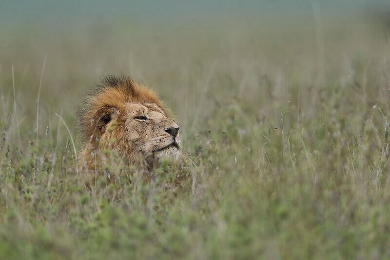 The Ultimate Guide to Africa’s Best Travel Seasons
