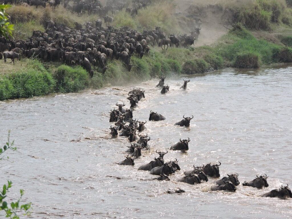 The Ultimate Guide to Africa’s Best Travel Seasons