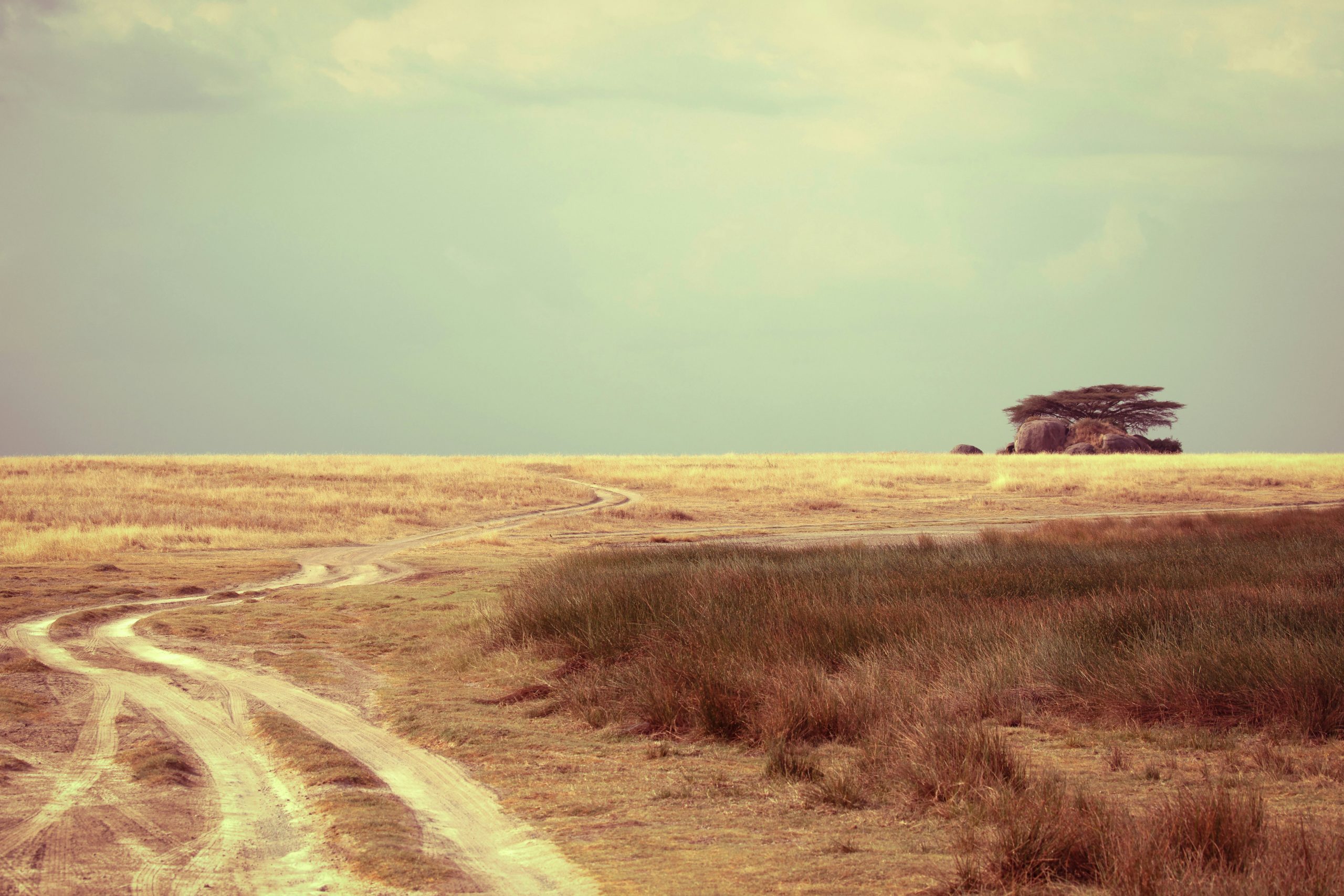 16 Absolute Best Things to Do on Your Holiday in Tanzania