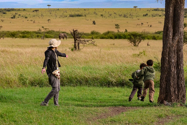 How to Plan a Wildlife Safari Holiday in Tanzania