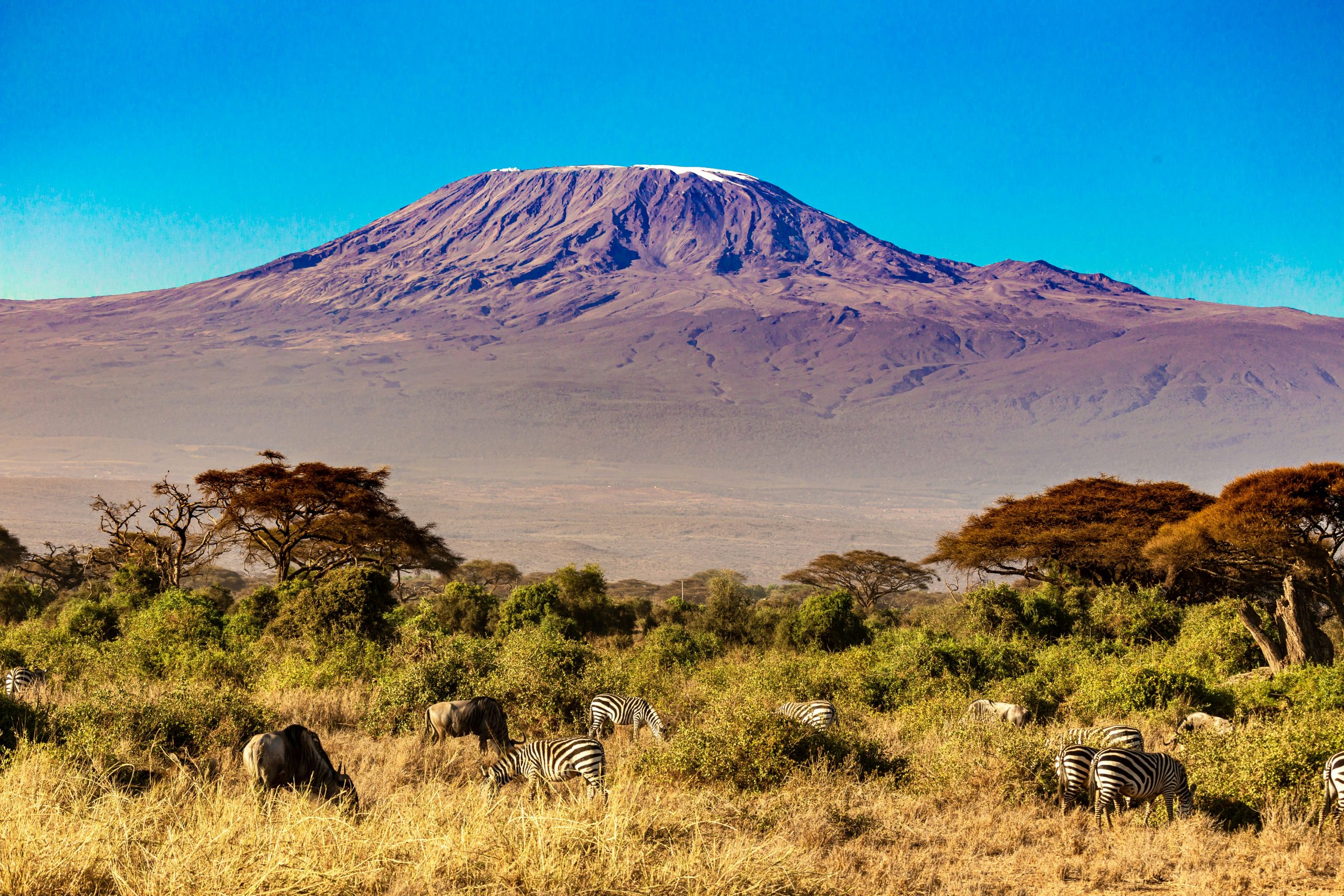 16 Absolute Best Things to Do on Your Holiday in Tanzania