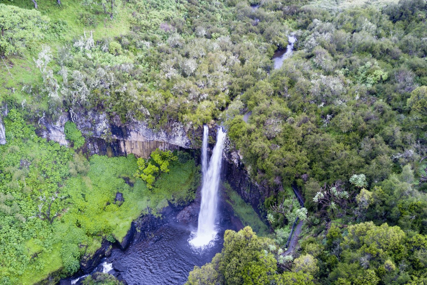 Aberdare National Park