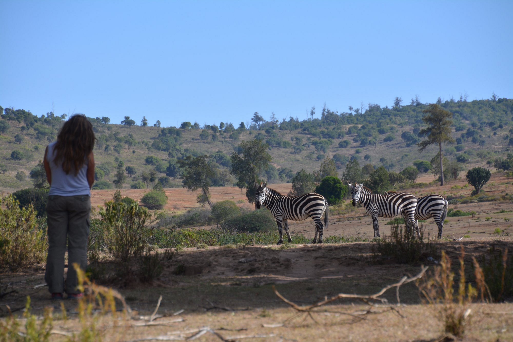 Buffalo Springs National Reserve