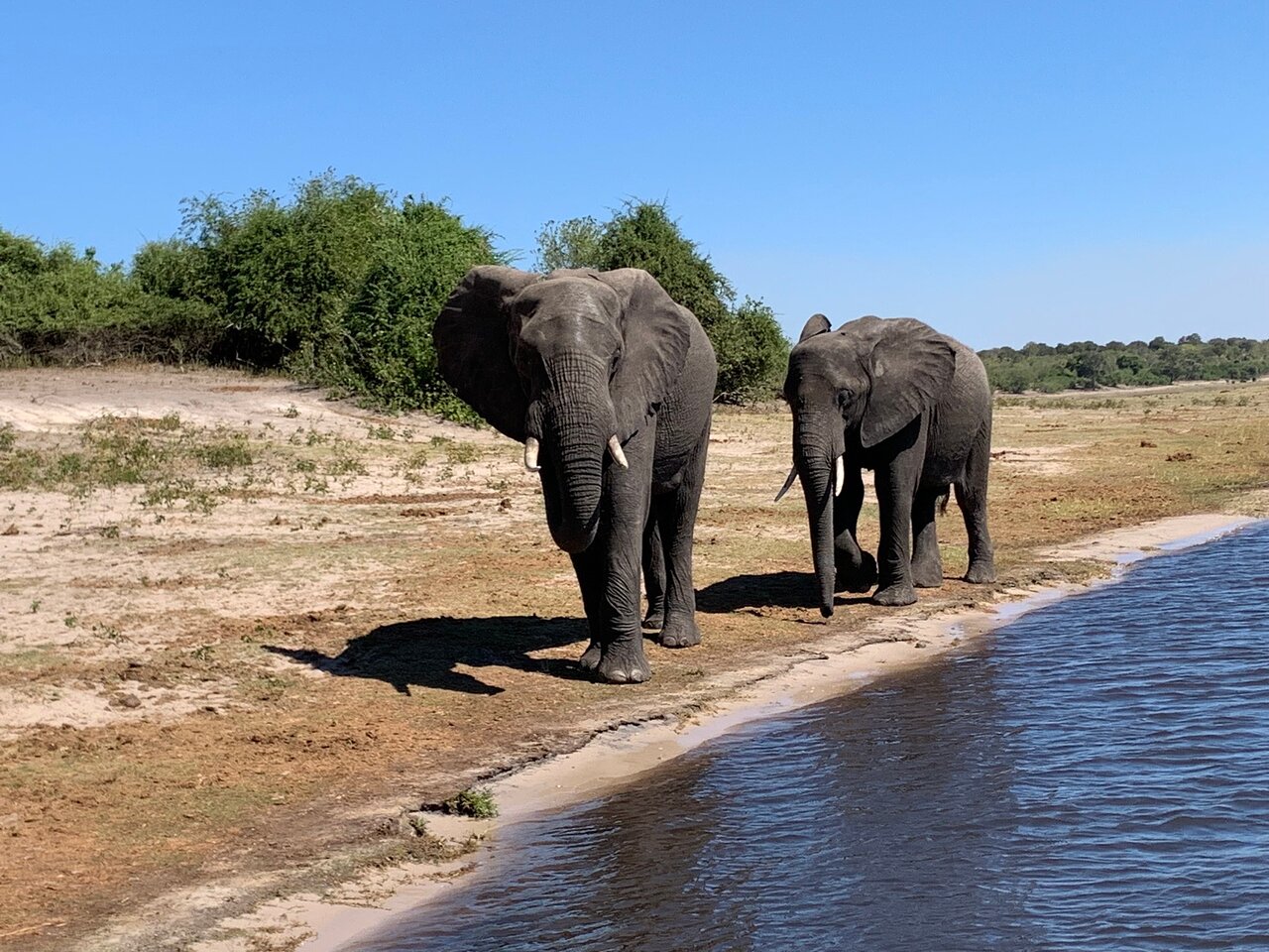 Chobe National Park