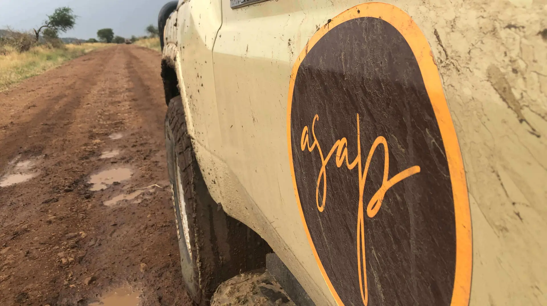 7 Questions to Ask Before Book a Safari in Tanzania