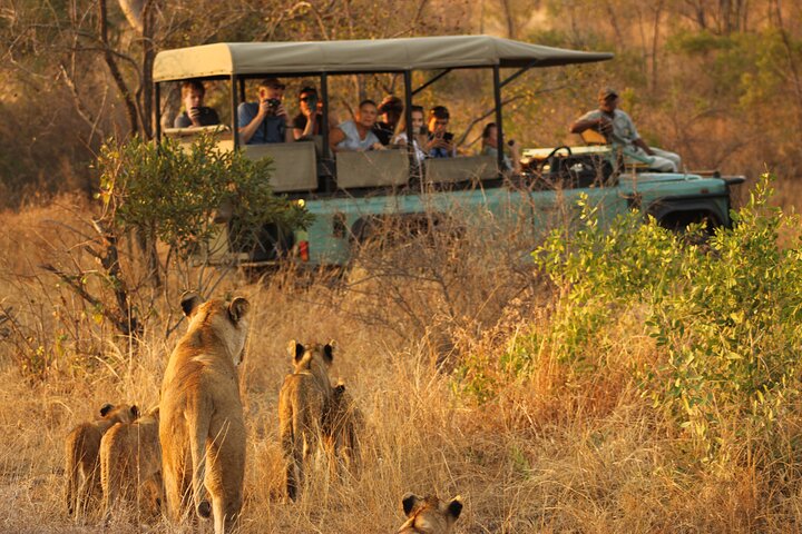 Ultimate African Safari
