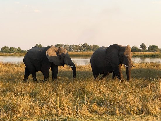 Botswana Explorer Safari Tour