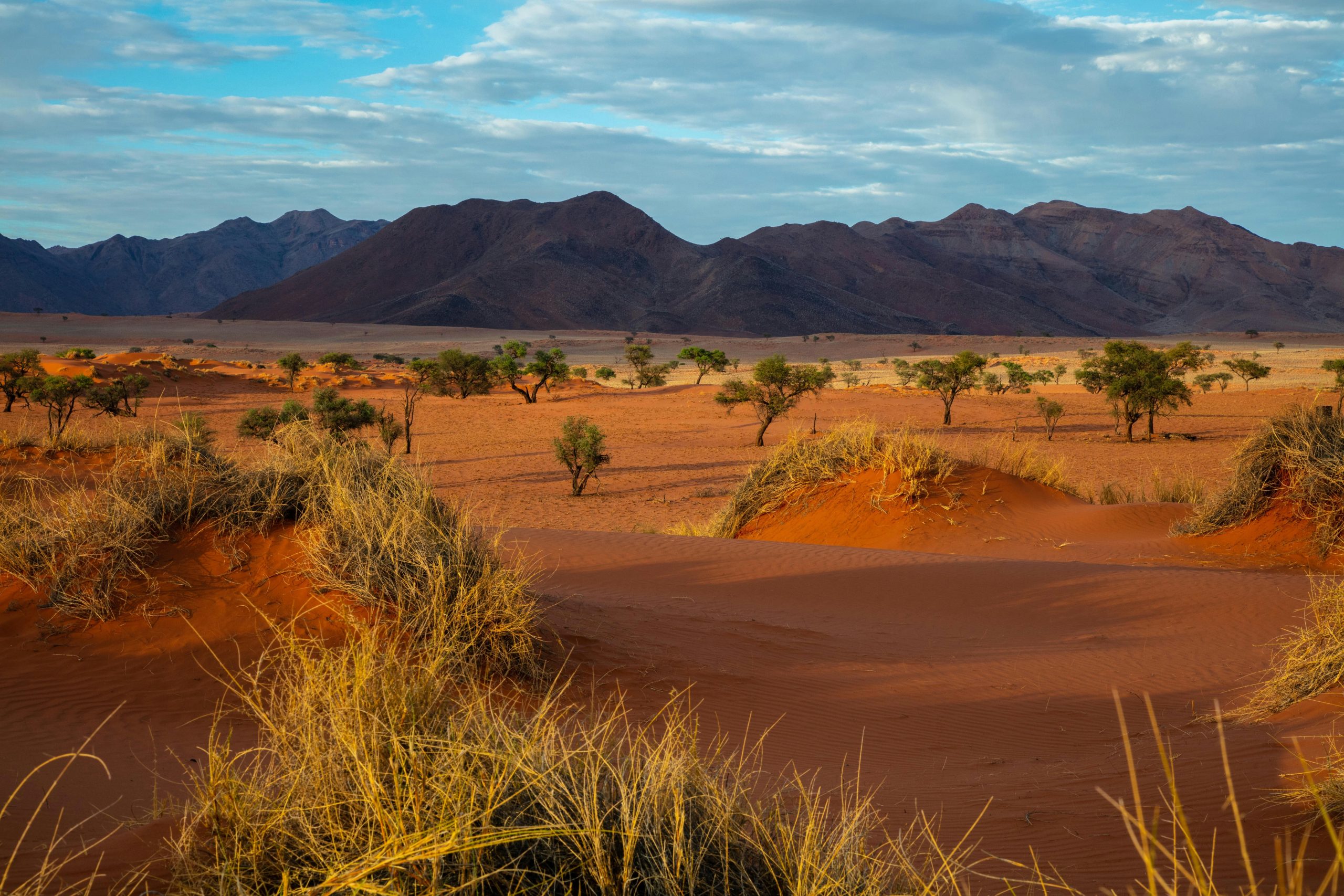 Intrinsic Namibian Deluxe Safari