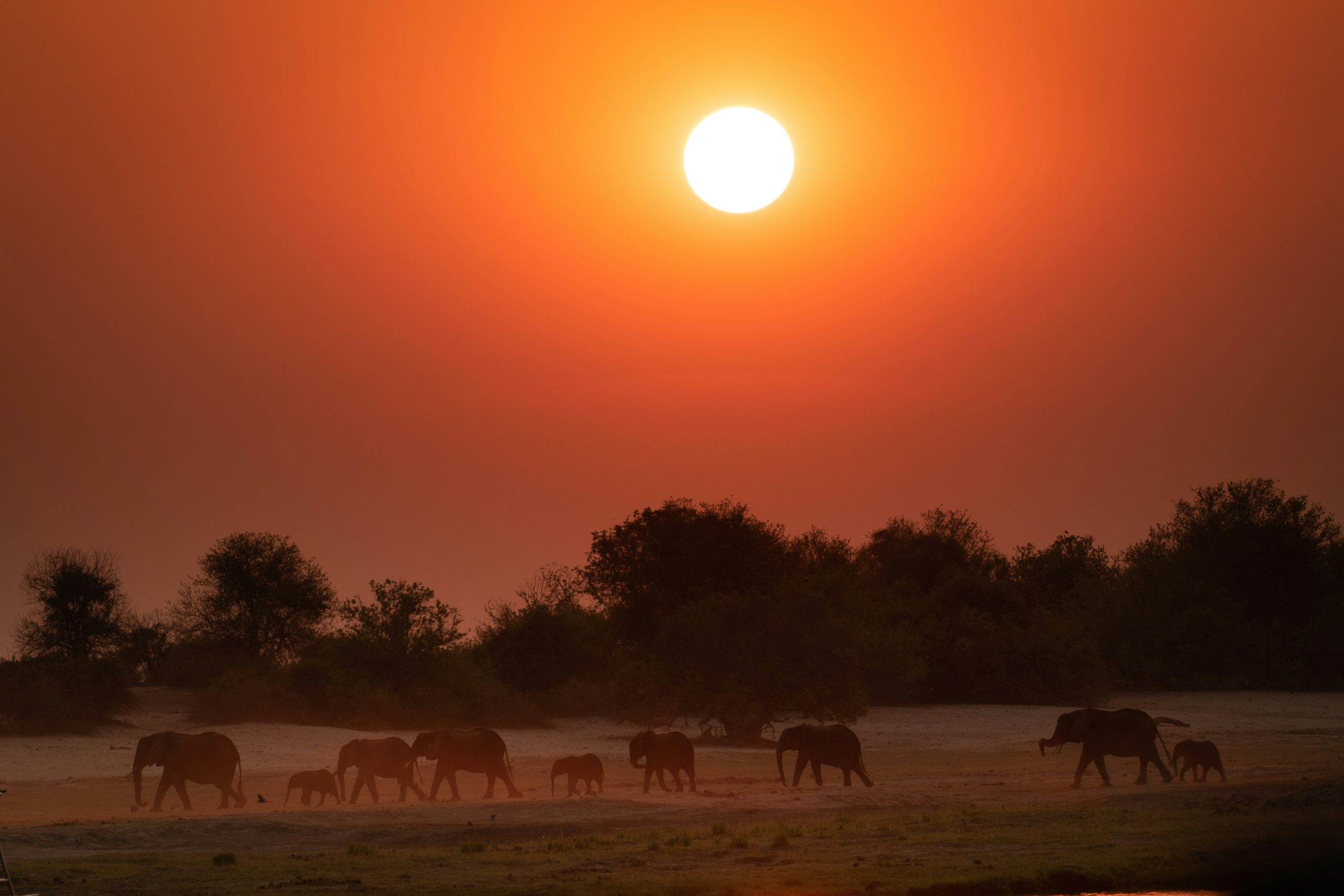 Botswana Hemingway Great Explorer Safari
