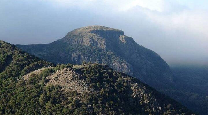 Bale Mountains National Park